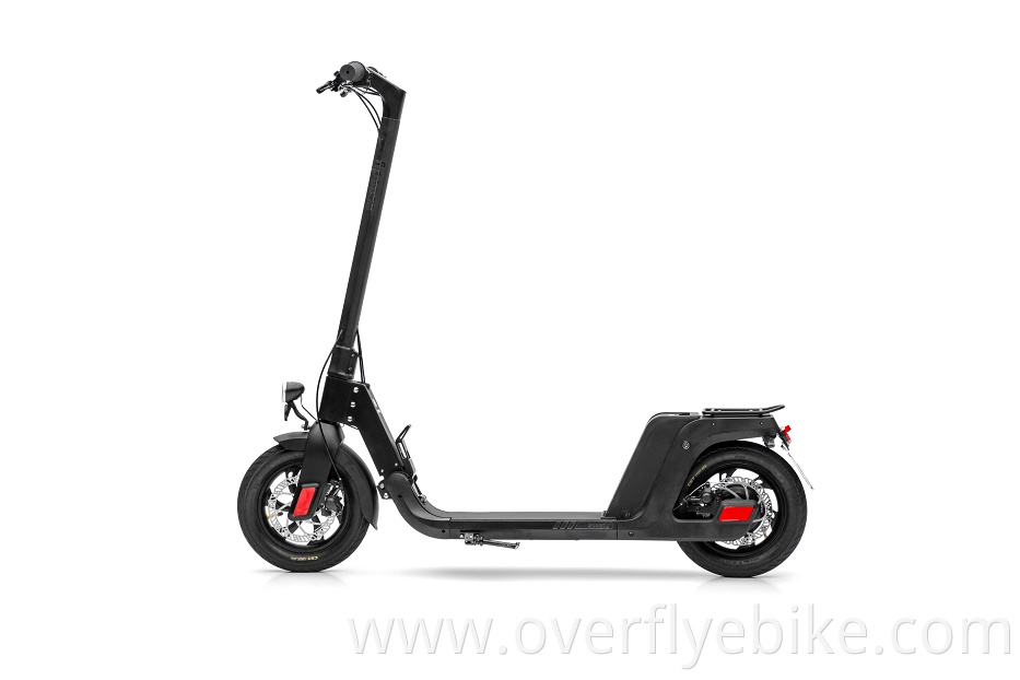 electric kick scooter